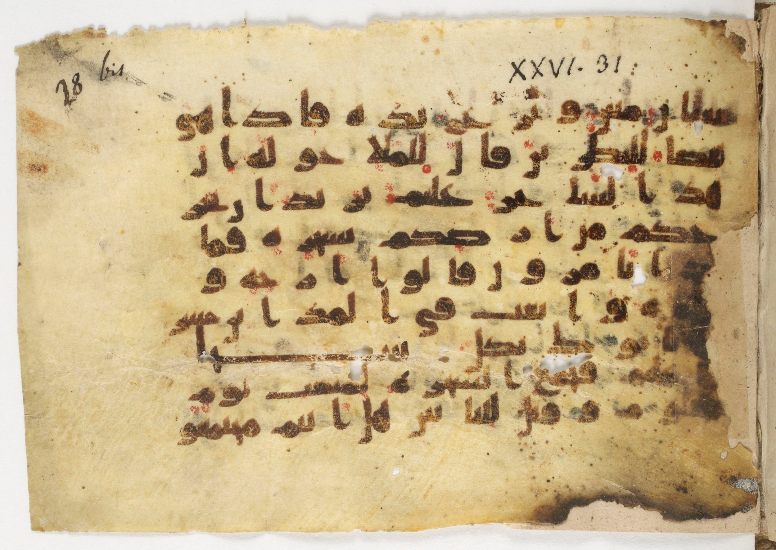Paris, Bibliothèque nationale de France, Arabe 338 (b) (Scan 1), in Kūfī B.II script, showing Surah 26:39 from Mid-8th to Late 10th Century AD found in Fustat (Old Cairo), Egypt, currently housed at Bibliothèque nationale de France, Paris